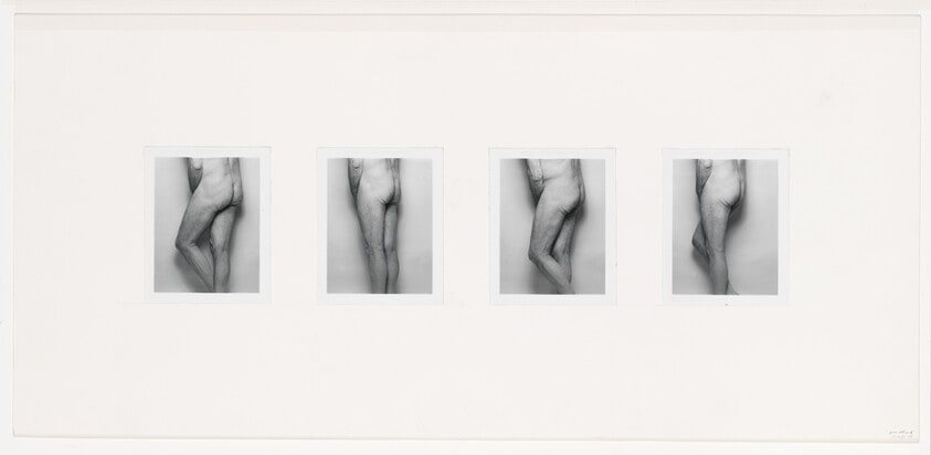 Lower Standing Torso