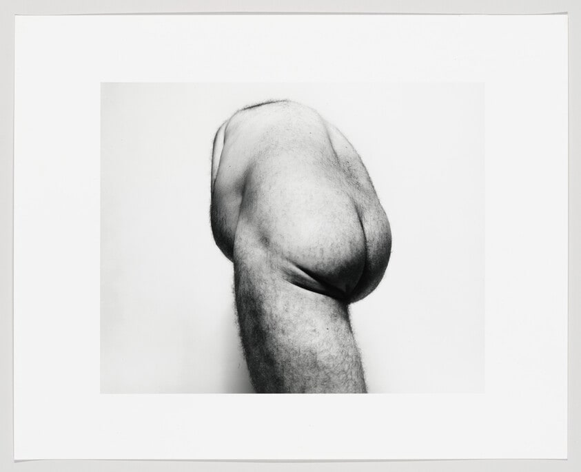Self-Portrait (Back Torso from Below)