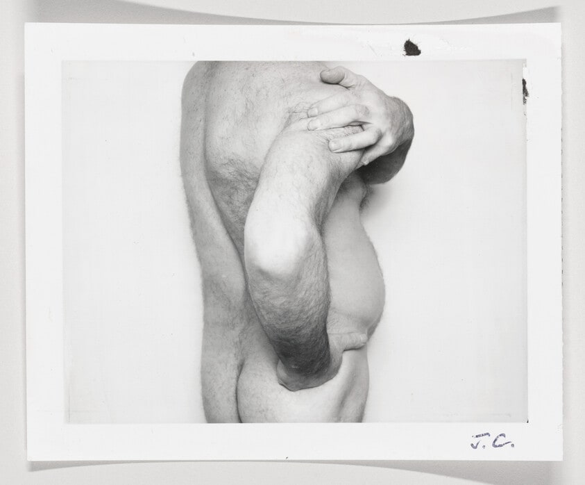 Torso