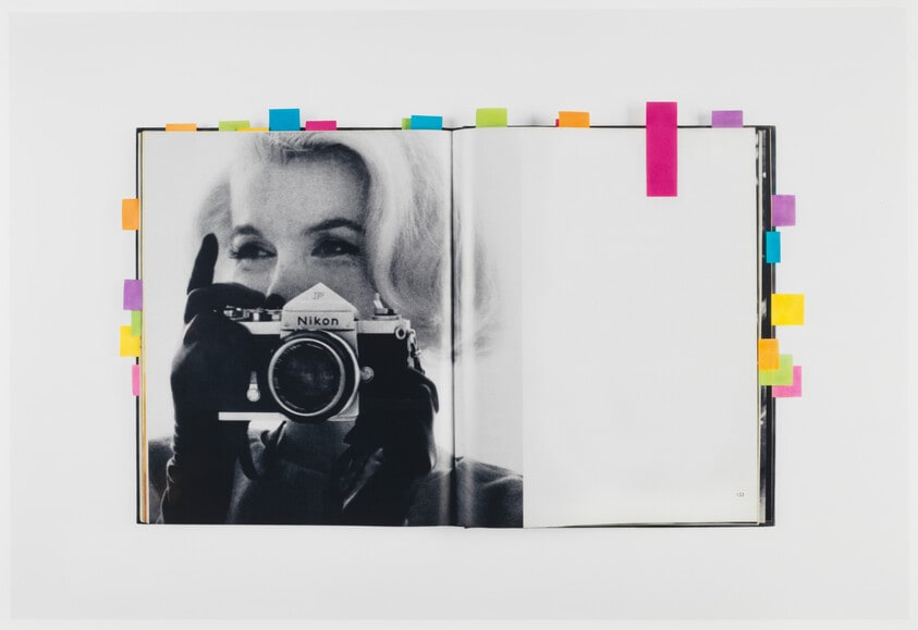 Woman With A Camera (Last Sitting, Bert Stern)