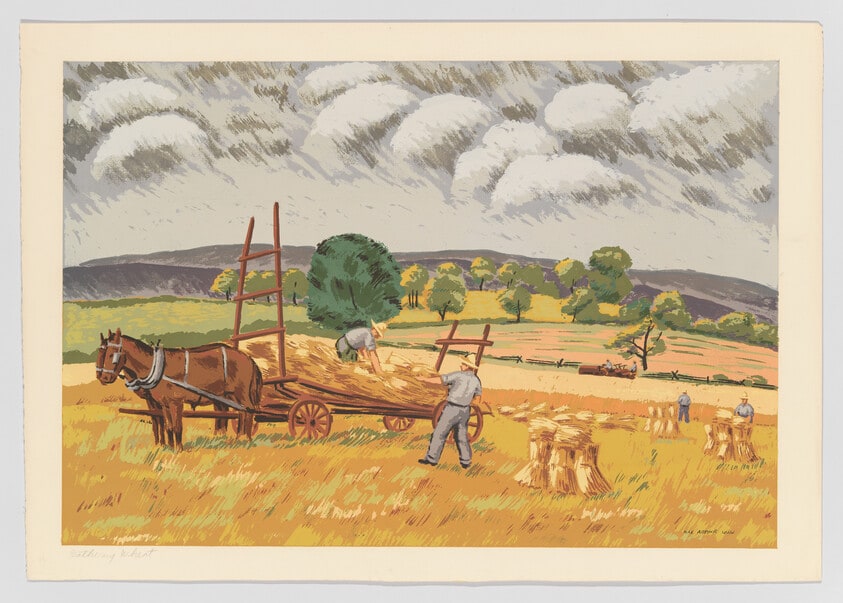 Wheatfield Harvest