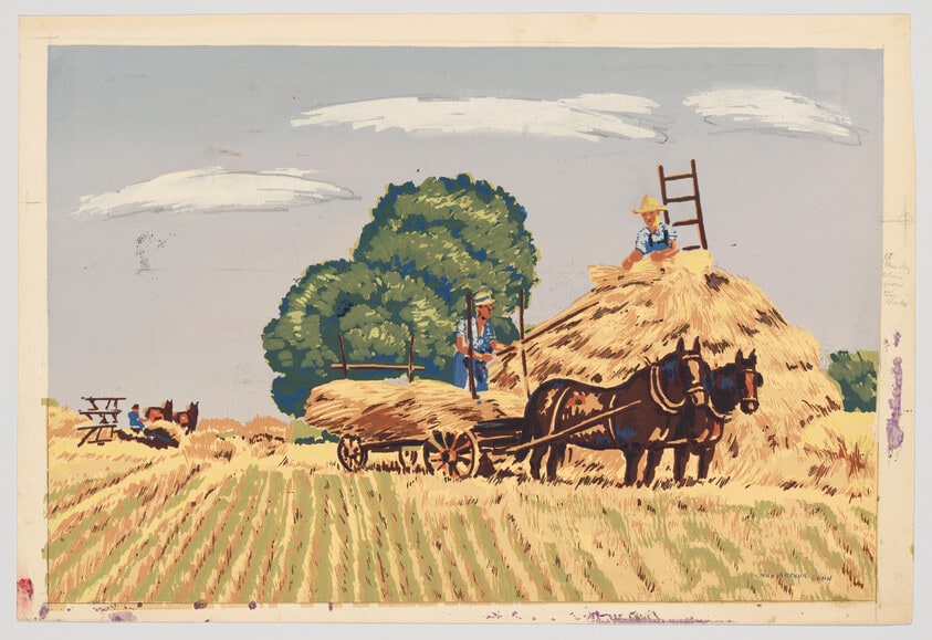 Wheatfield Harvest