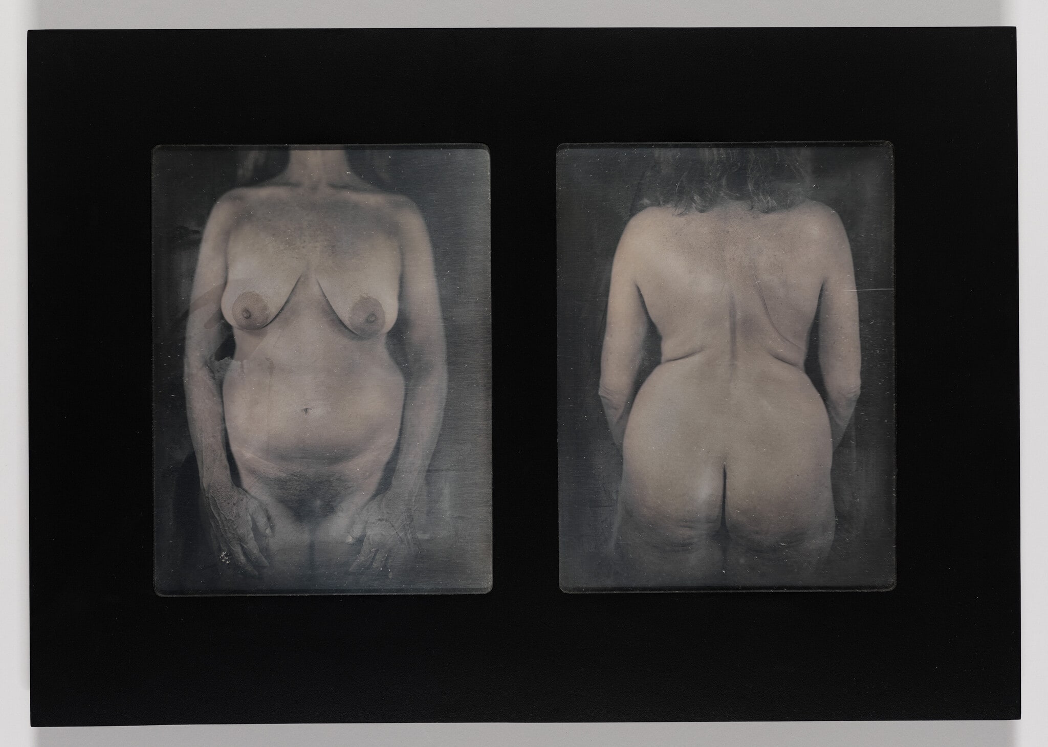 Untitled Torso Diptych (LF)