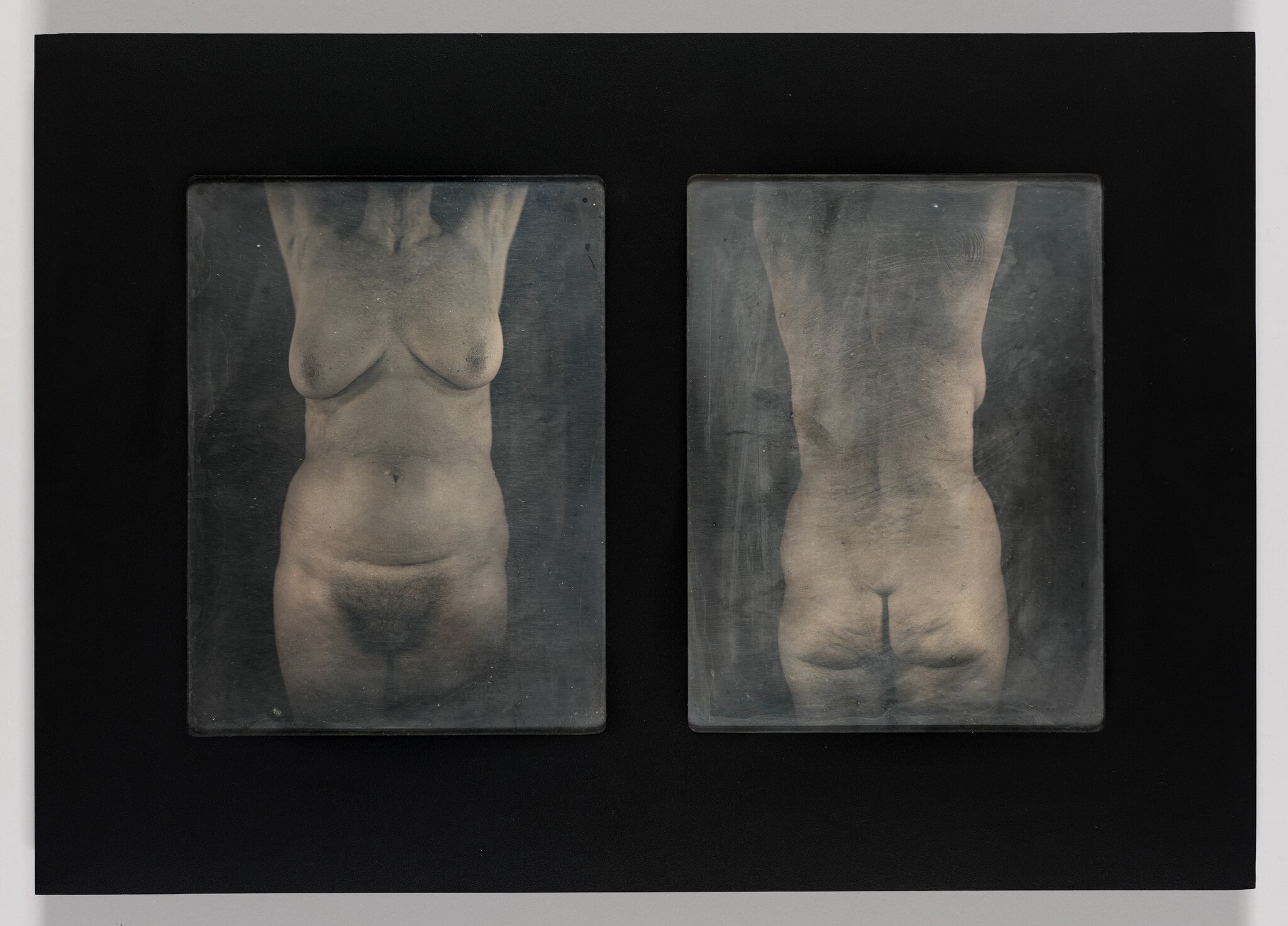 Untitled Torso Diptych (DR)