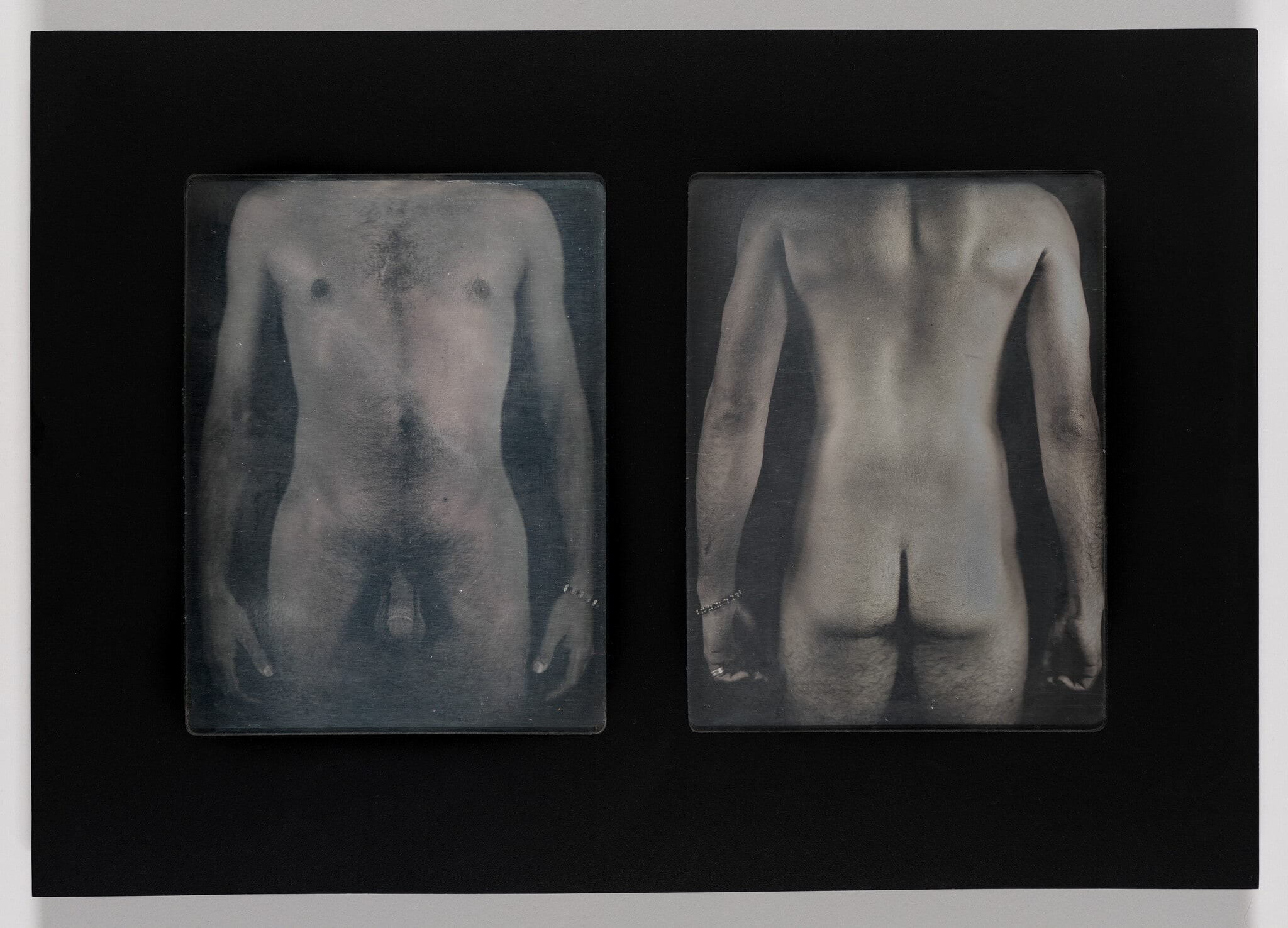 Untitled Torso Diptych (BC)