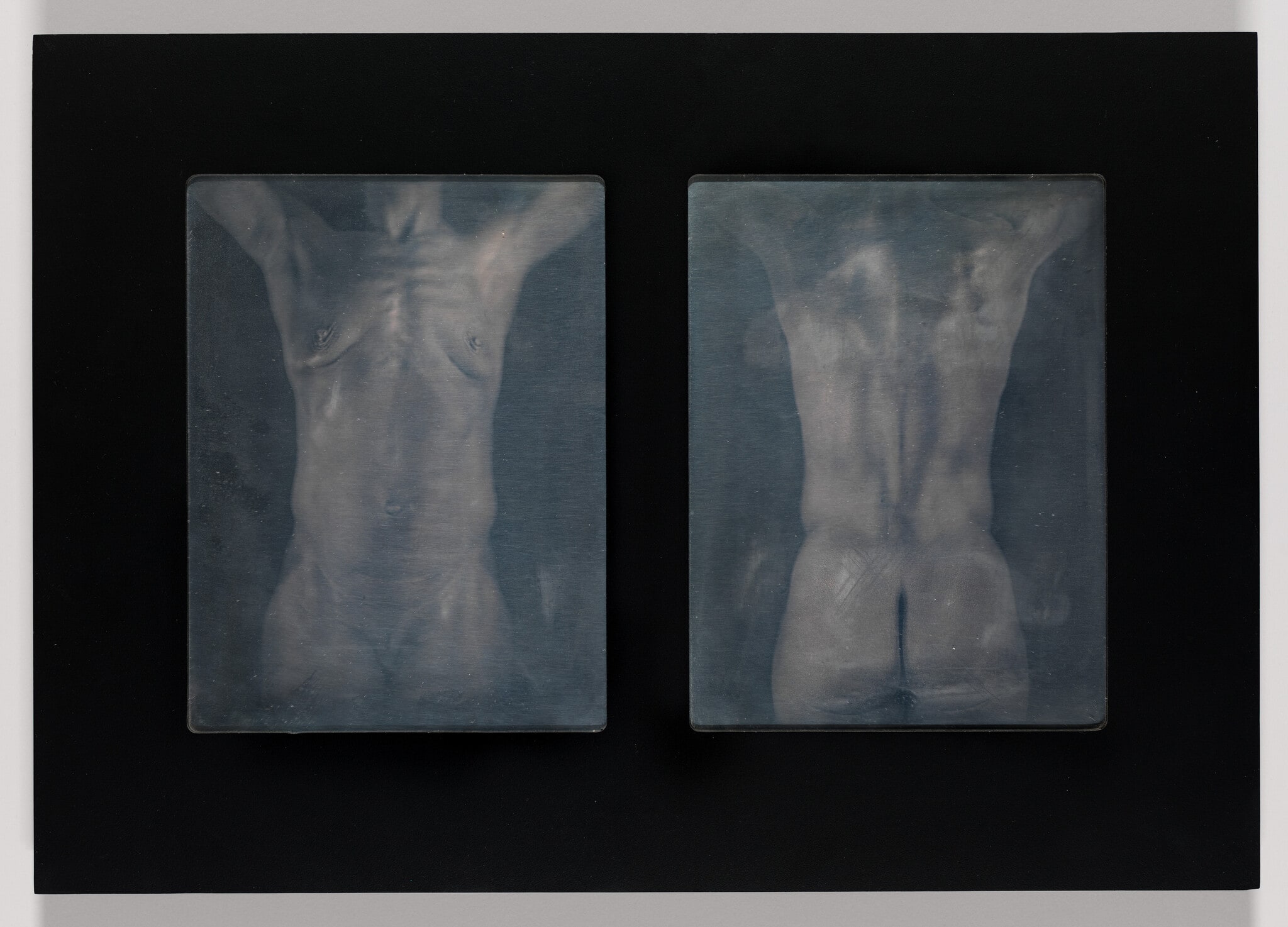Untitled Torso Diptych (P)