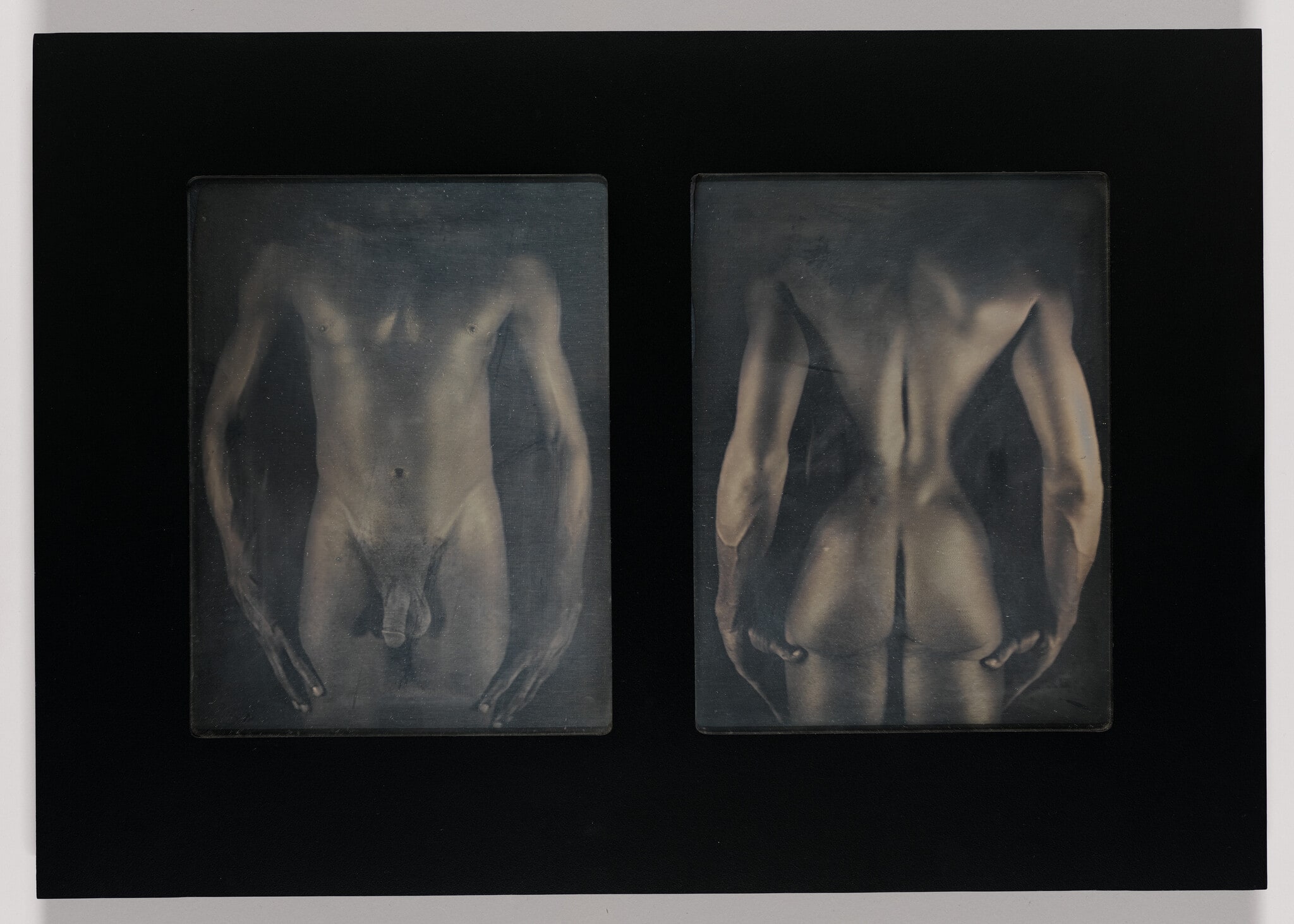 Untitled Torso Diptych (LH)