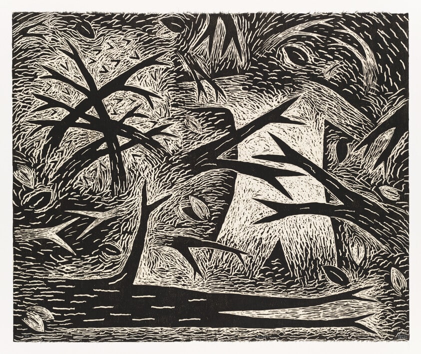 Thicket