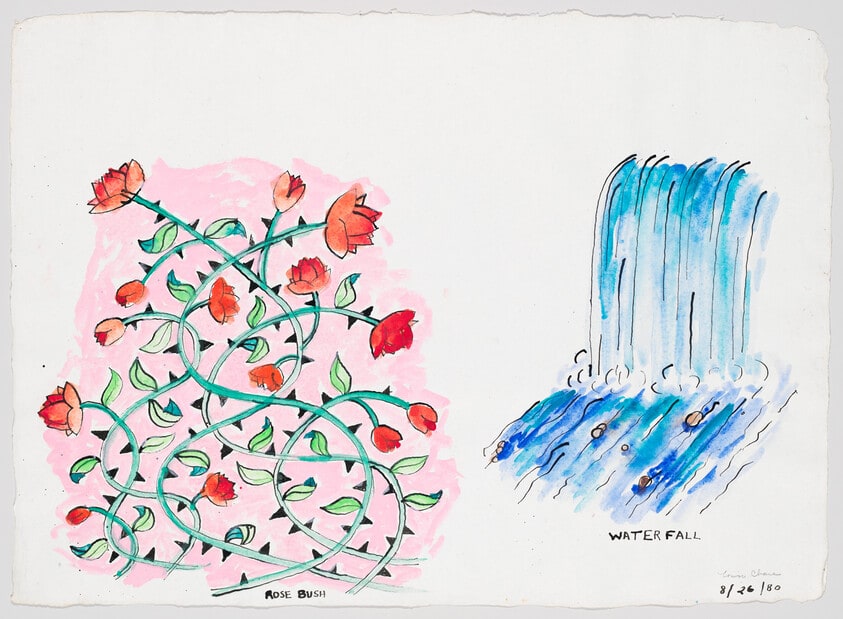 Rose Bush/Waterfall