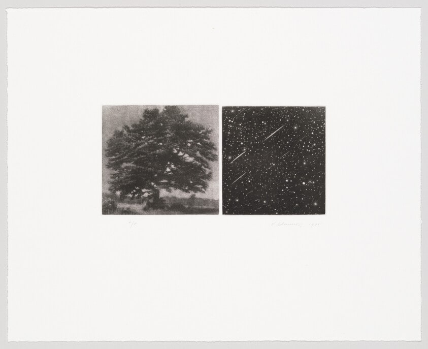 Untitled (Tree and night sky)
