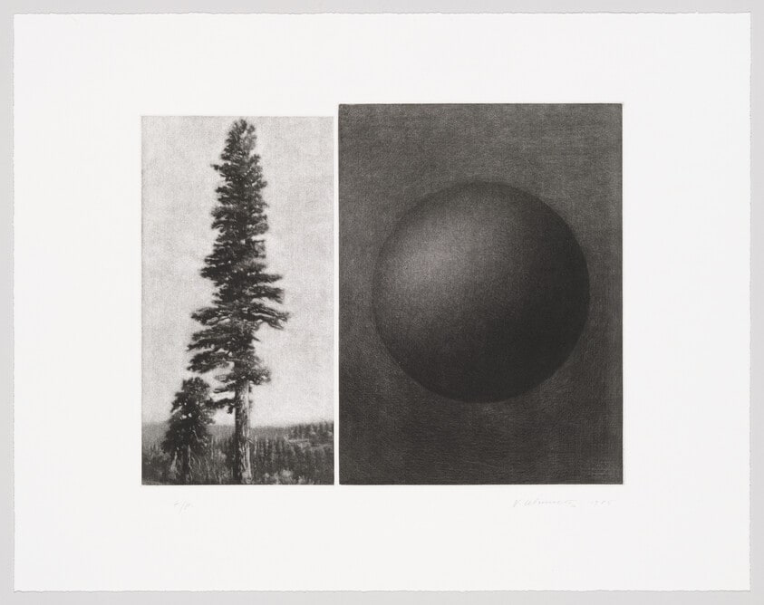 Untitled (Sequoia and "moon")