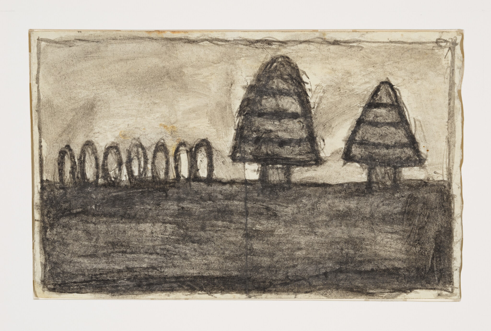 (Tree Forms in Landscape)