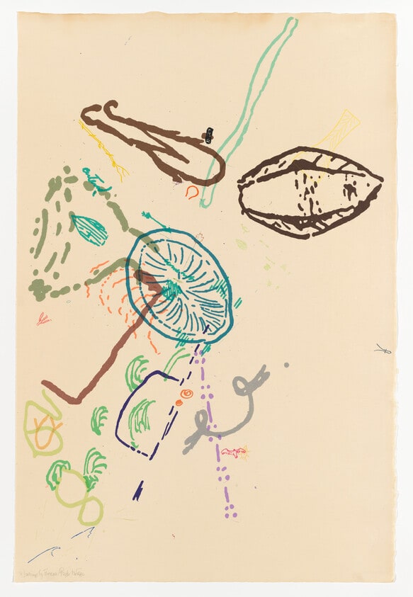 30 Drawings by Thoreau