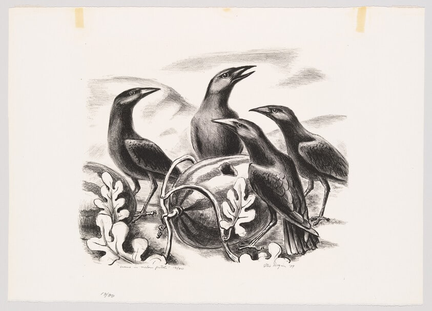 Crows in Melon Patch