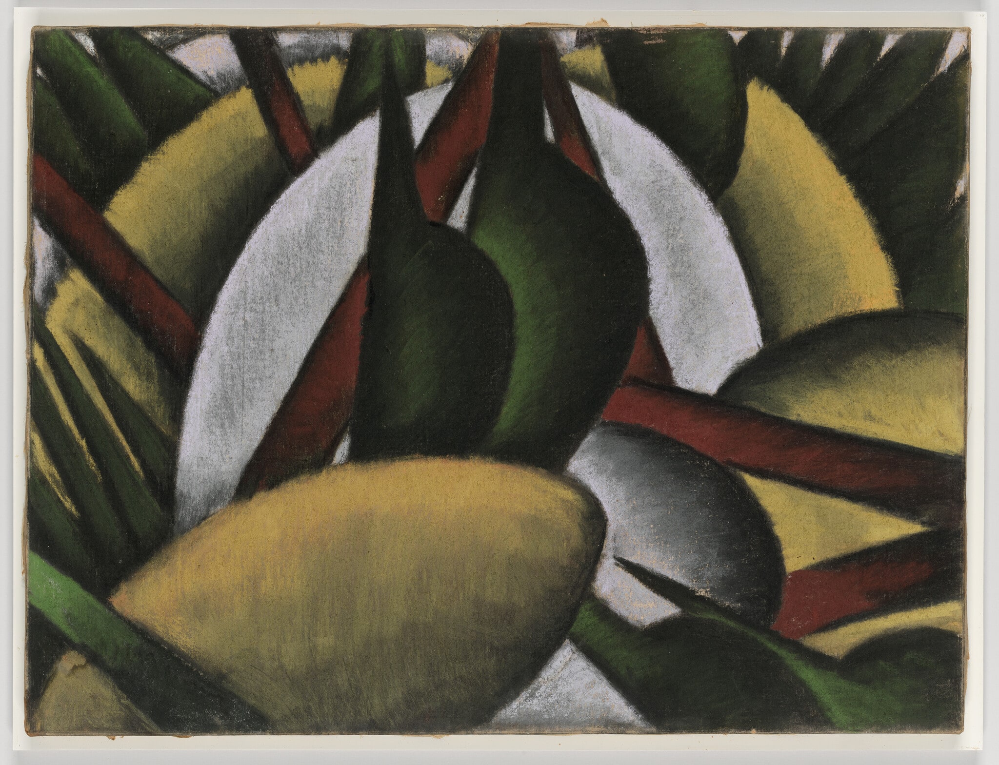 Plant Forms