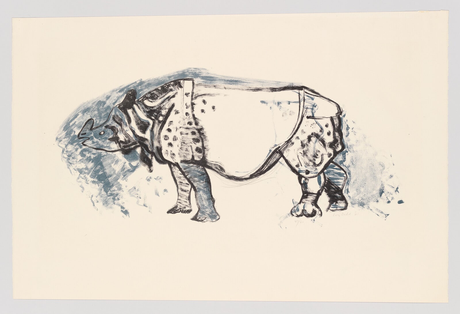 White Rhino