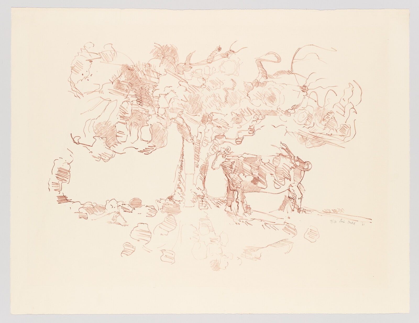 Cow Under a Tree