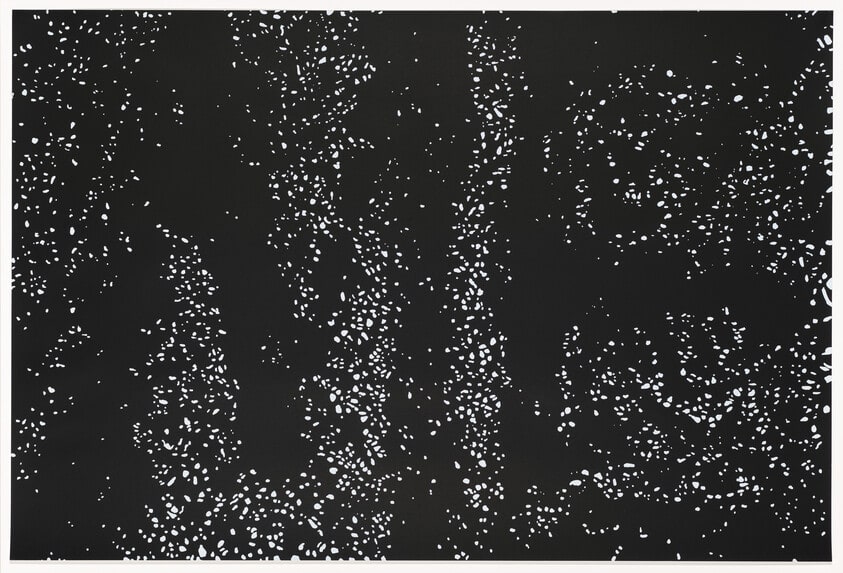 Me Constellation