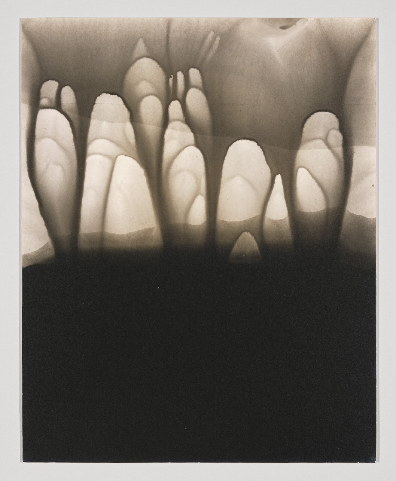 Untitled (Salvador Dali's Birthday Party)