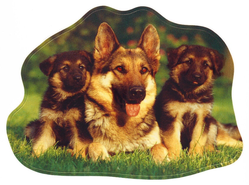 German Shepard Sticker