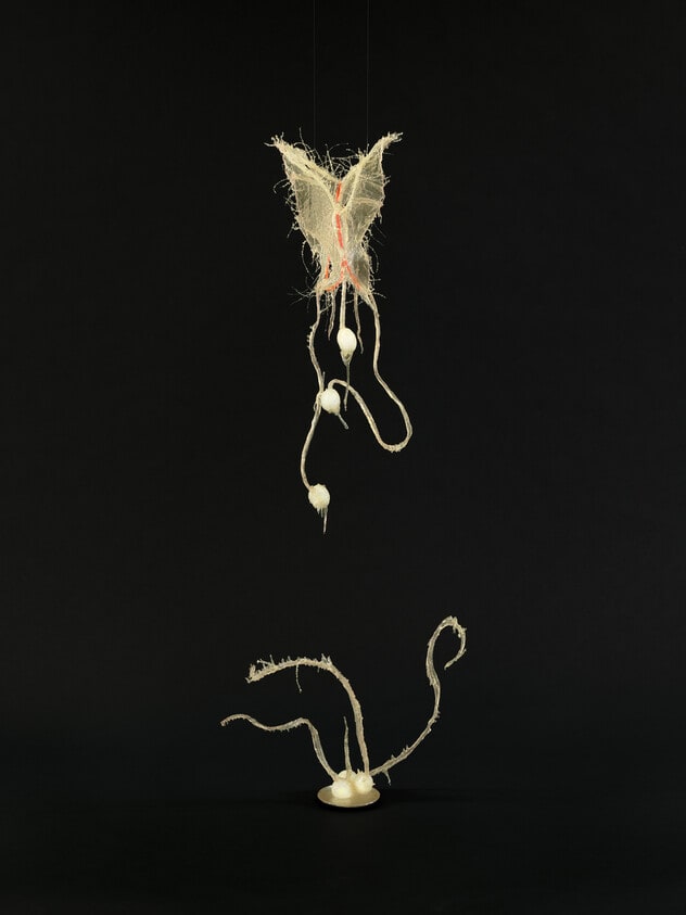 Reproductive Super Nova