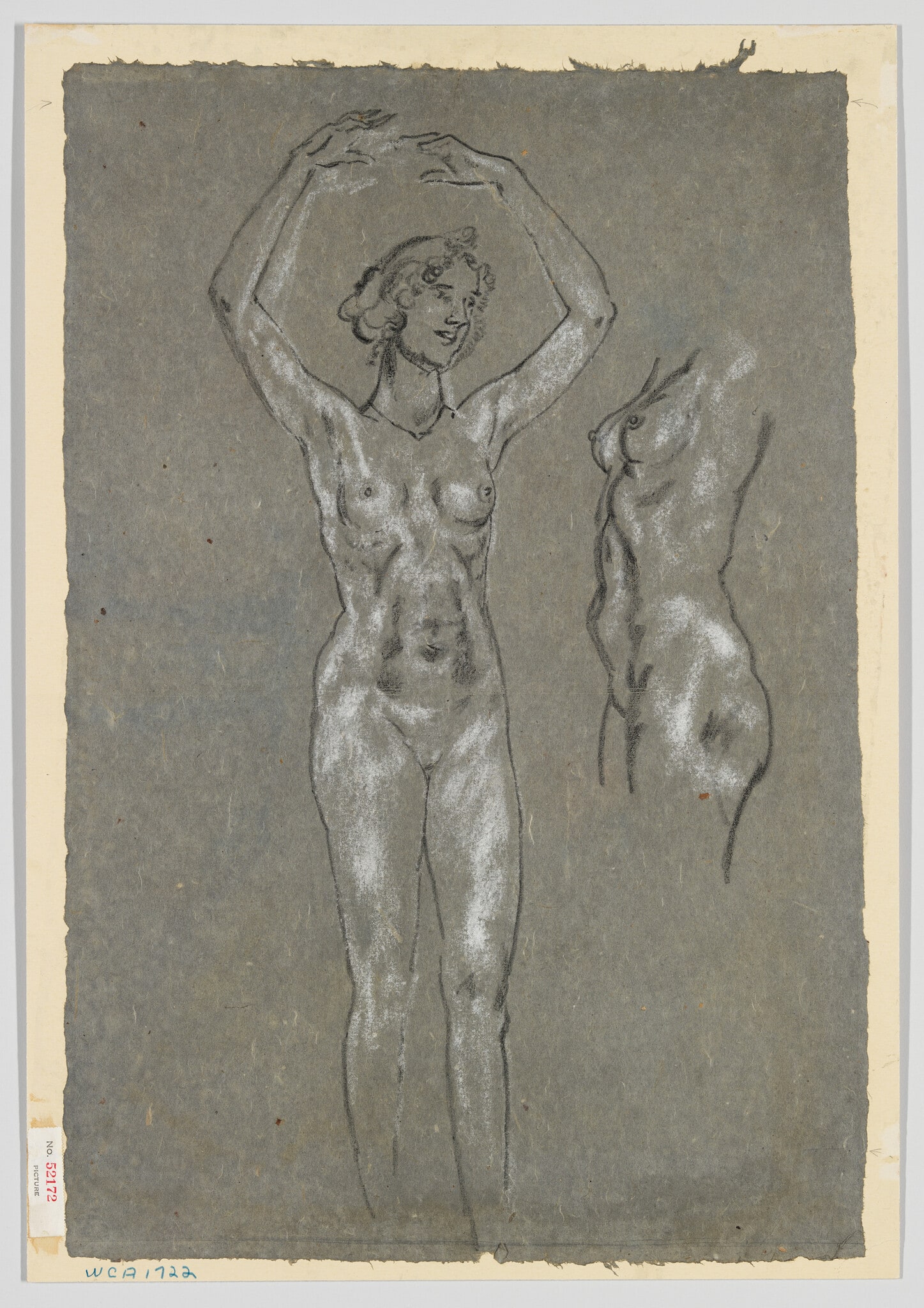 Nude, arms raised and Torso Study