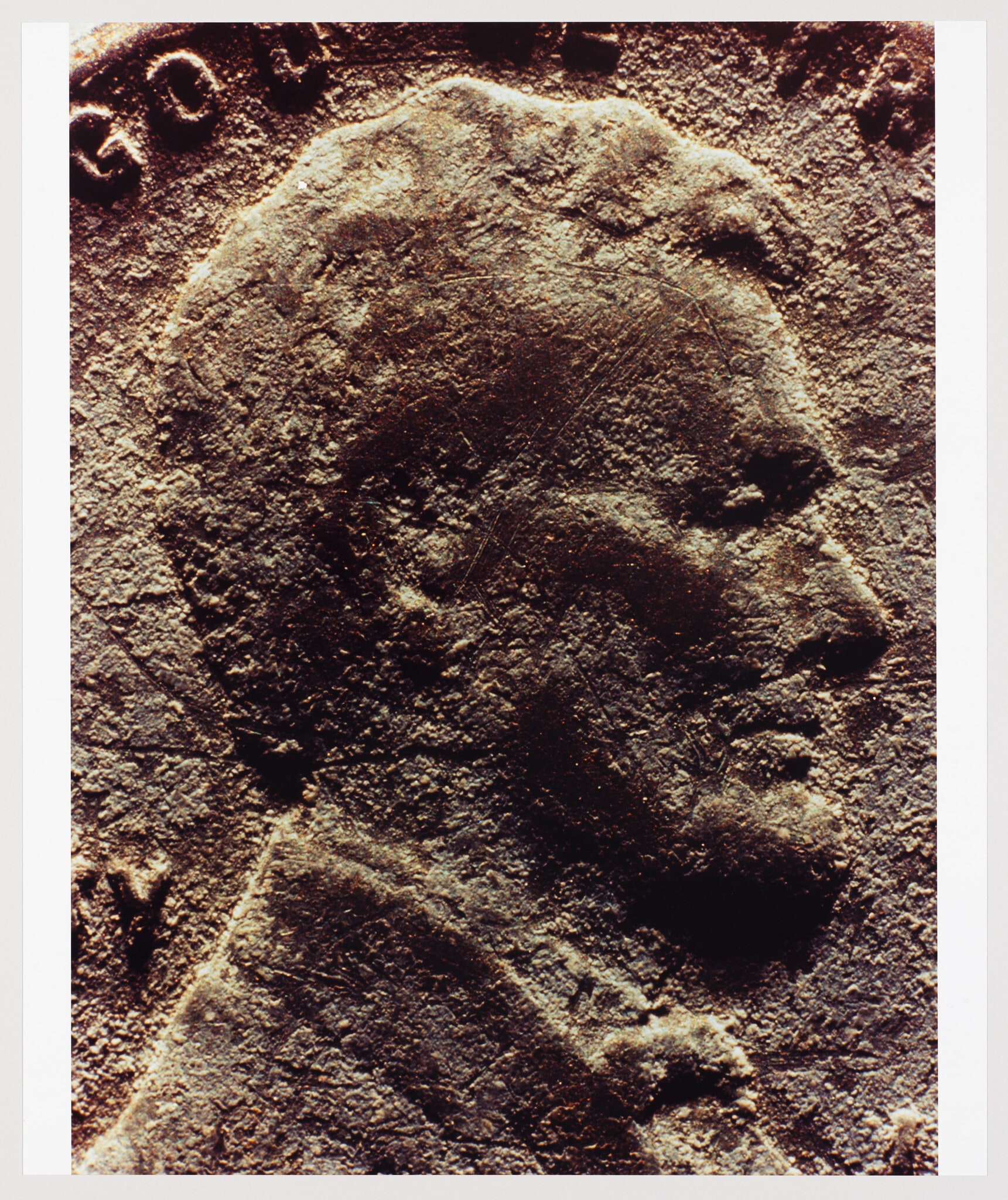 Copperhead No. 95