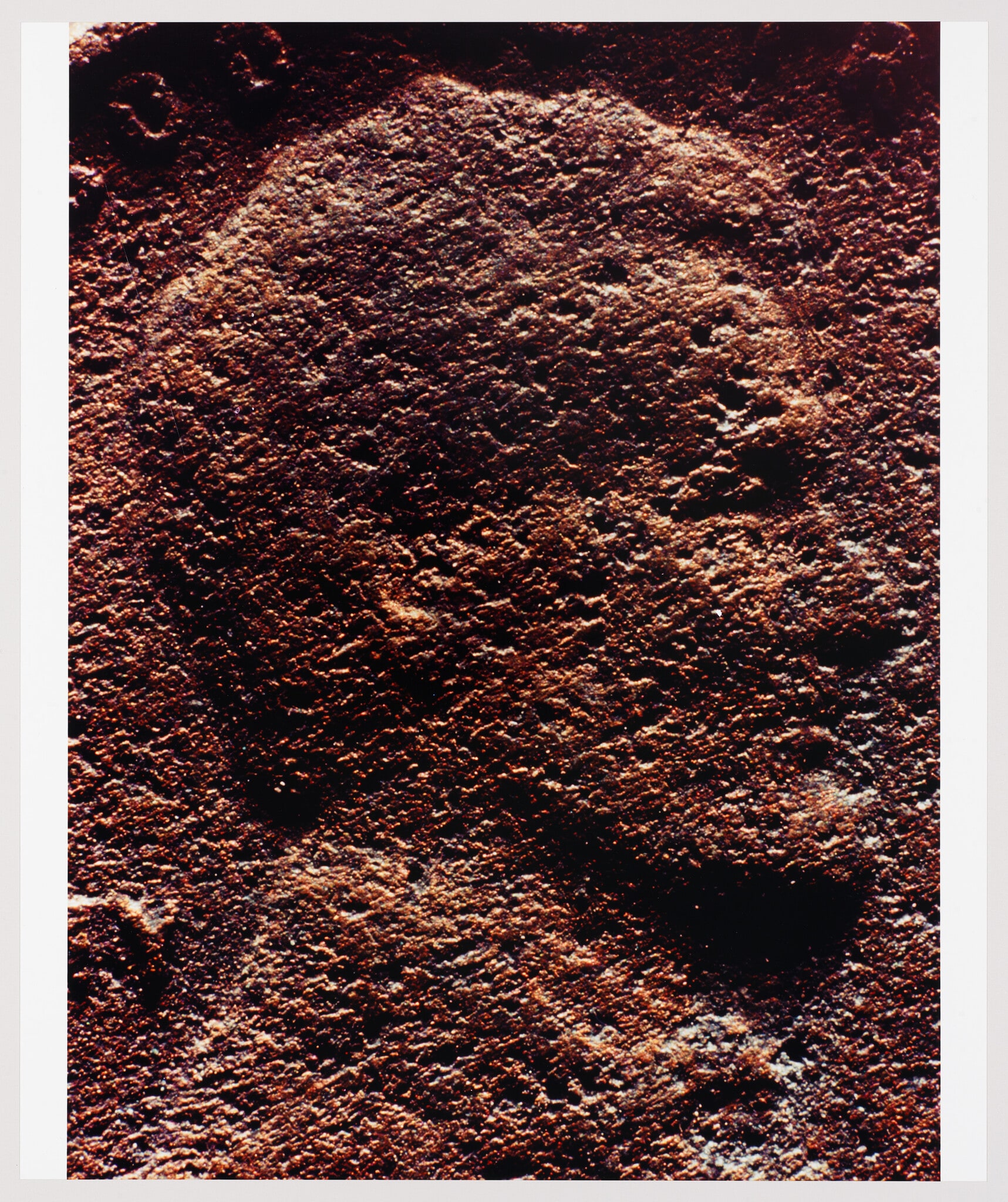 Copperhead No. 49