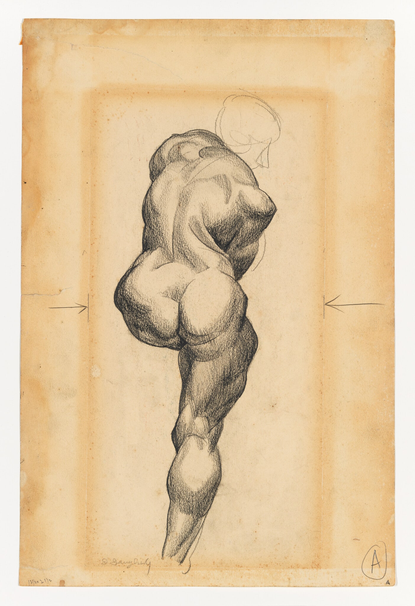 Back of a Nude
