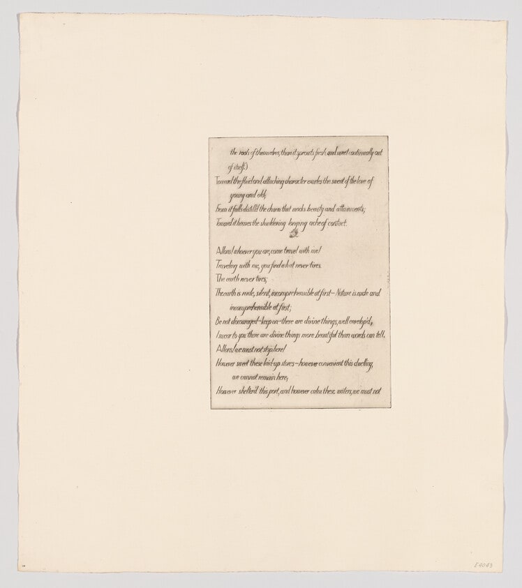 (Text plate X)
