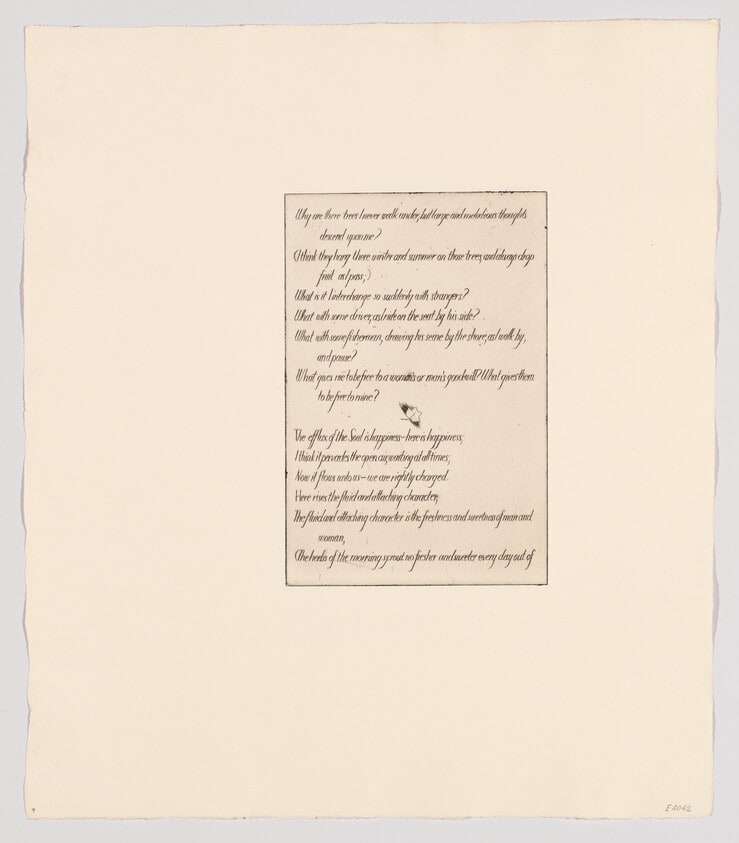 (Text plate IX)