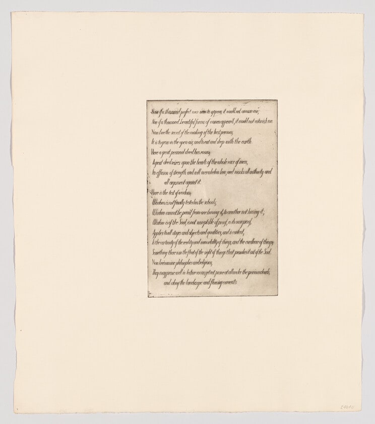 (Text plate VII)