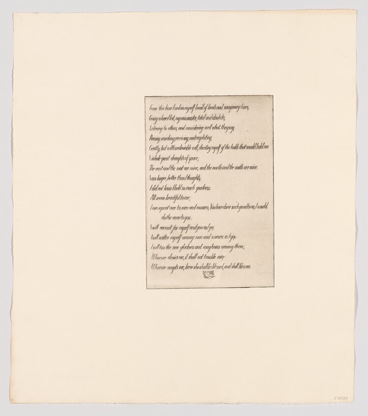 (Text plate VI)