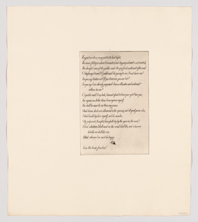 (Text plate V)