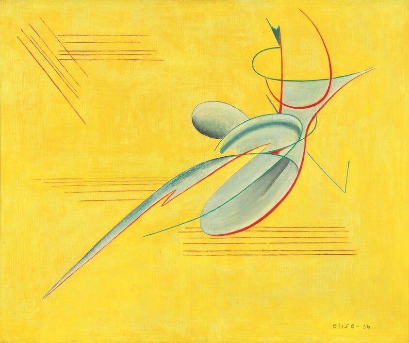 Elevation