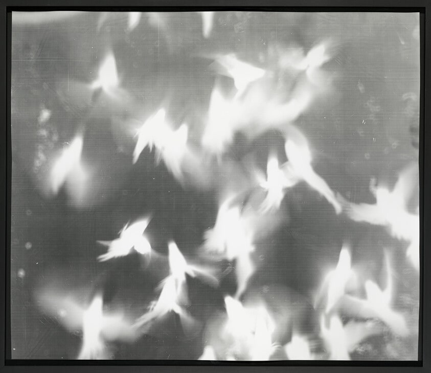 From the series "My Ghost"