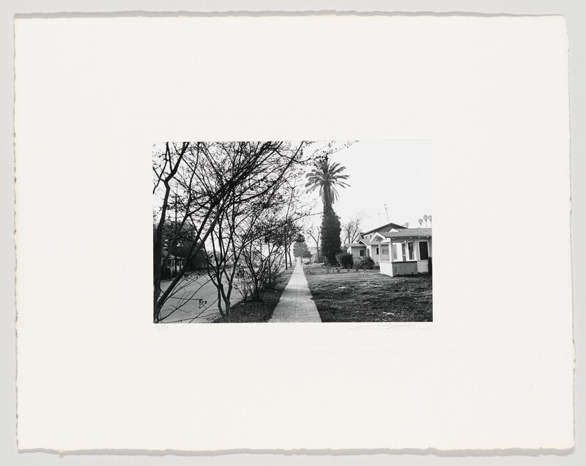 Street Scene, Trees & Houses, Hollywood, California