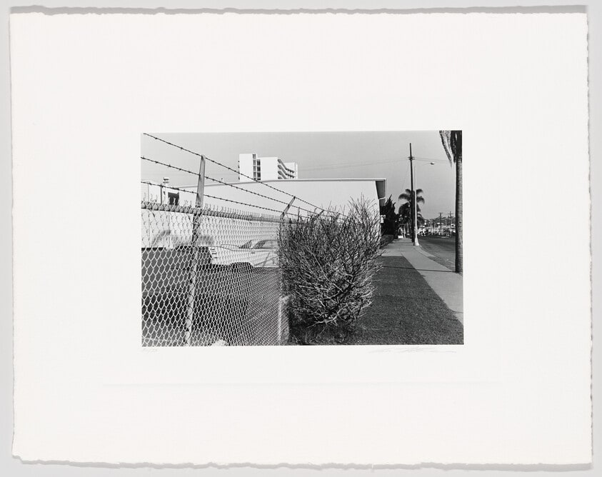 Car & Fence & Bush, San Diego, CA