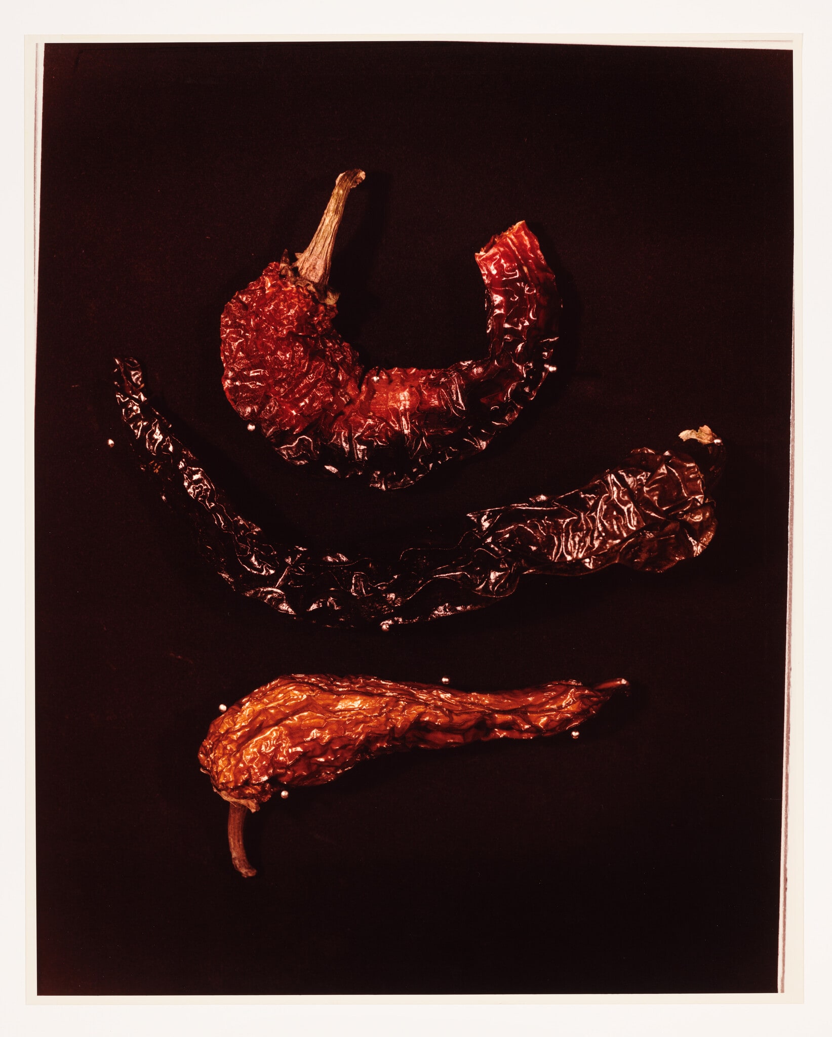 X. PEPPER (Capsicum longum)