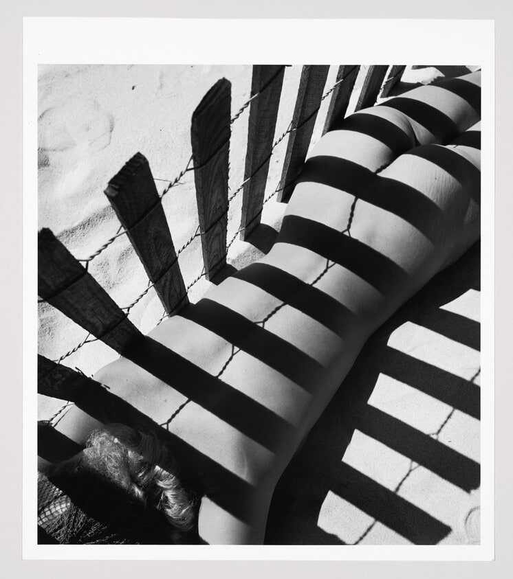 Sand Fence