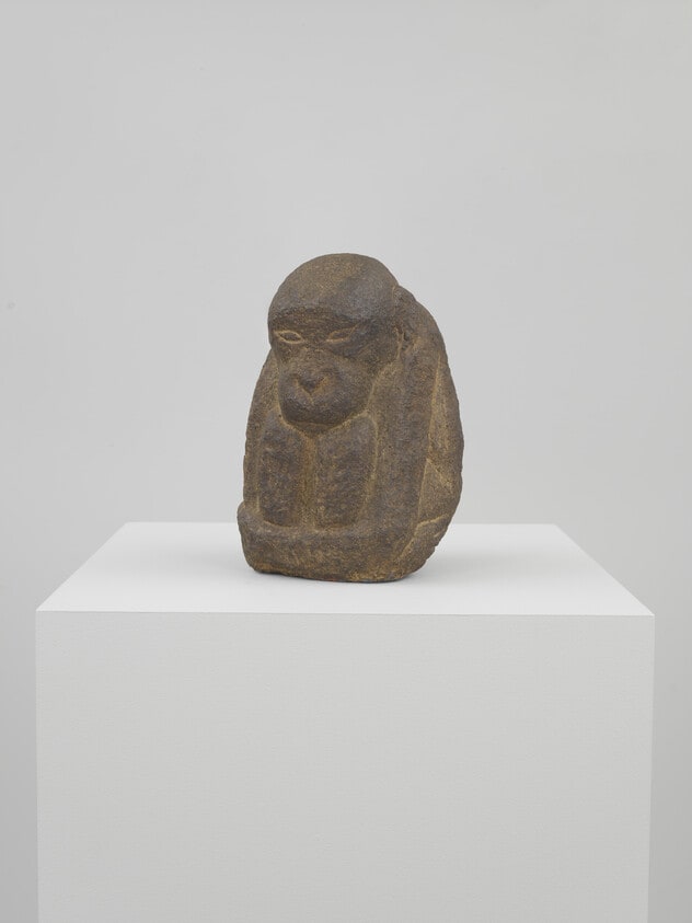 Chimpanzee