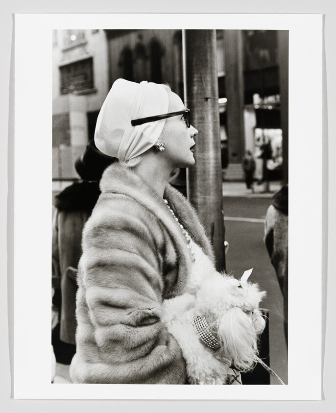 Fifth Avenue