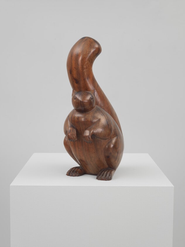Squirrel