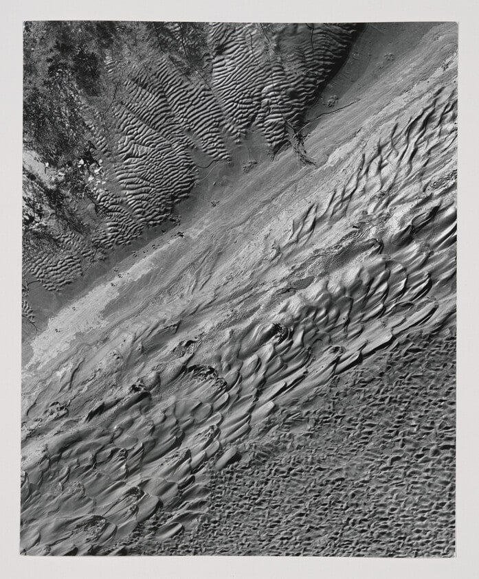 Ripple Marks in Soft River Mud