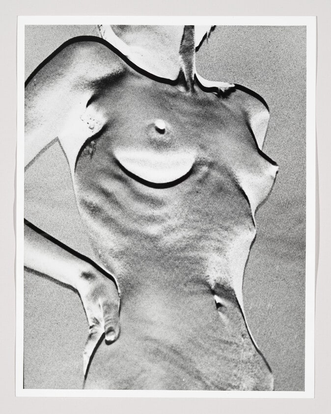 Female Torso