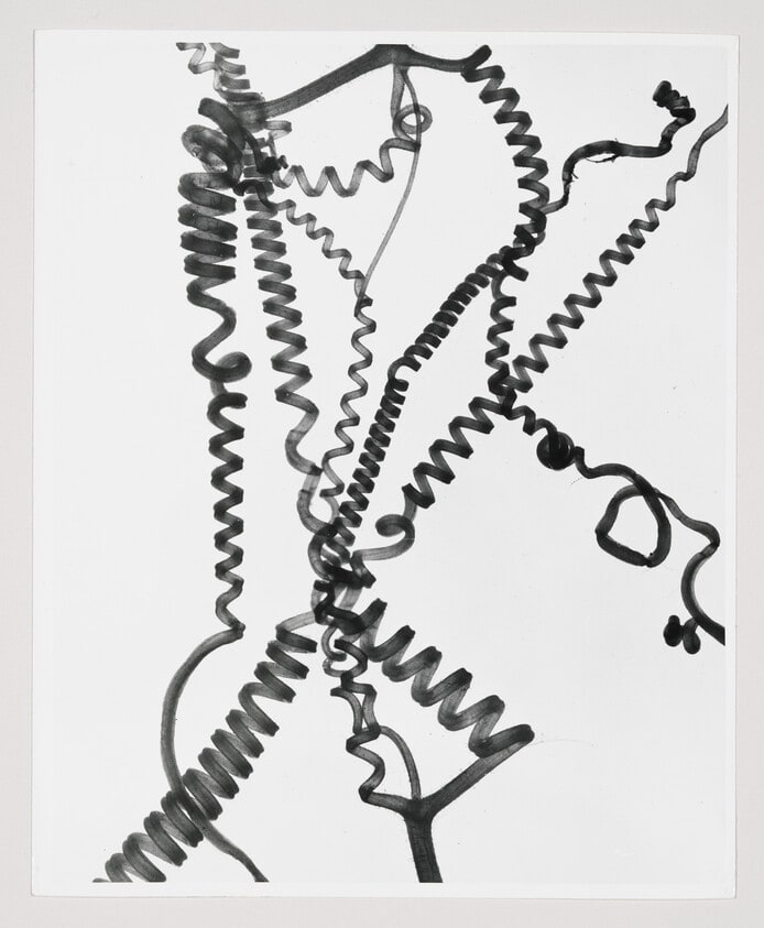("Tentacles of a Wild Connecticut Grapevine Form an Abstract Design")