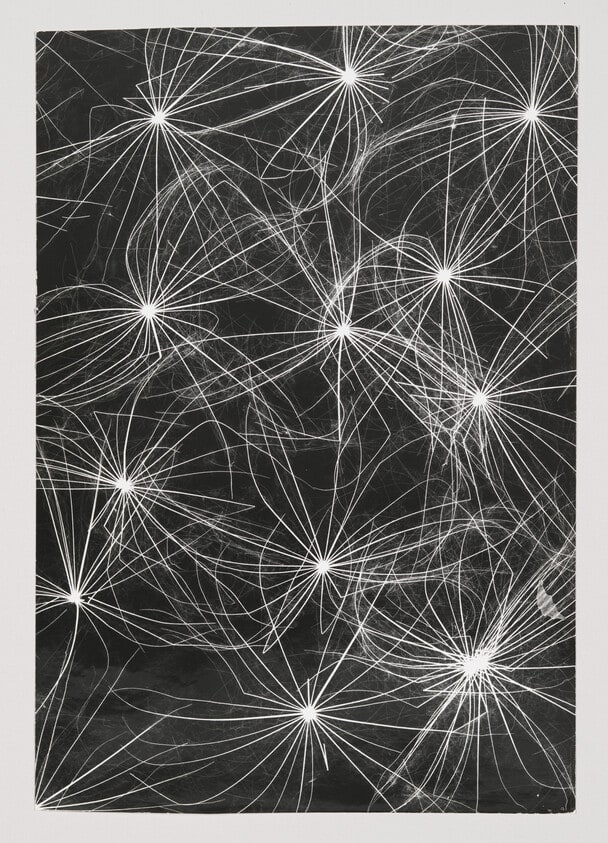 Dandelion Seeds