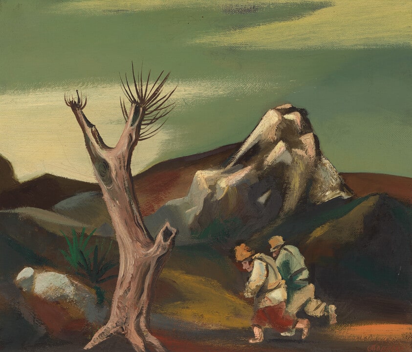 Old Tree and Old People