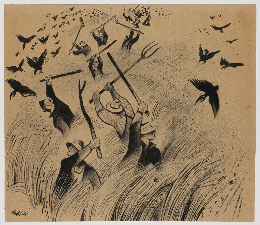 Farmer's Revolt
