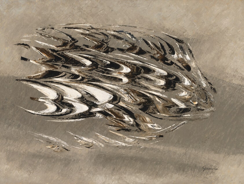 Flight of Plover
